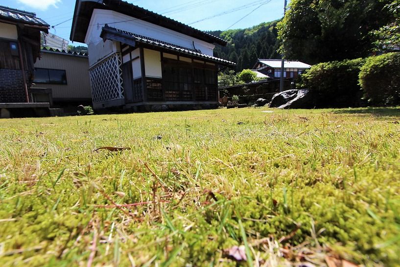福井県三方上中郡若狭町日本家屋の庭の緑